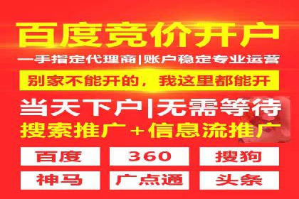 经典案例：专业SEM托管如何实现ROI最大化